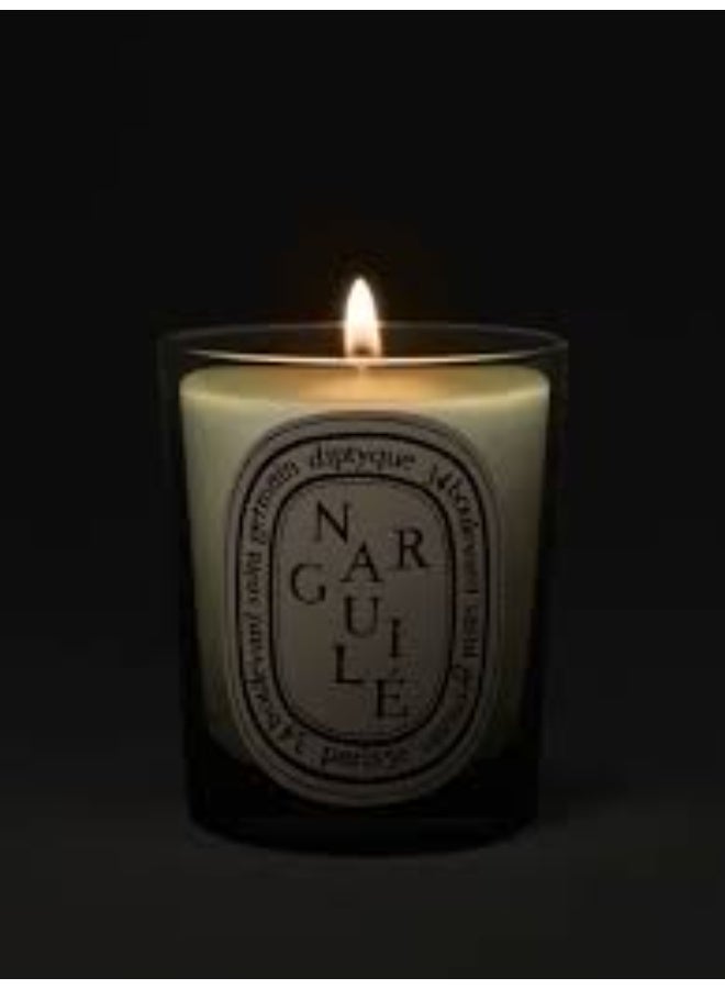 Diptyque Narguile Candle  190G - Image 4